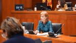 La directora general de Salud Pública de Aragón, Nuria Gayán, ha comparecido hoy en las Comisión de Sanidad