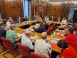 La sesión plenaria del CESA se ha celebrado este martes