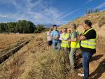 El director general ha visitado los trabajos que se están desarrollando en Tarazona