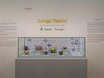 La sección de cerámica del Museo de Zaragoza inaugura la exposición ‘Kotoge Tanzan. El paso de las estaciones. 夏 Natsu | Verano’