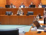 Este martes la directora general de Personal, Ana Eva Tejedor, ha comparecido ante la comisión de Educación, Ciencia y Universidades en las Cortes