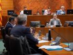 El director general de Calidad Ambiental, José Montoya, durante su primera intervención en la Comisión de Medio Ambiente y Turismo