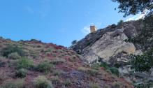 El consejero de Educación, Cultura y Deporte del Gobierno de Aragón, Felipe Faci, en el Parque Cultural del Río Martín