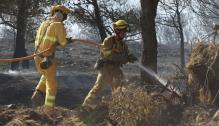 Incendio Añón de Moncayo