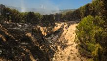 Incendio Añón 15 de agosto