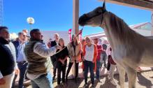 La consejera Mayte Pérez inaugura la Feria de Cedrillas, en su 130 edición