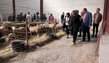 La consejera Mayte Pérez inaugura la Feria de Cedrillas, en su 130 edición