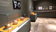 Inauguración de la exposición "Aratis, anatomía de un expolio"