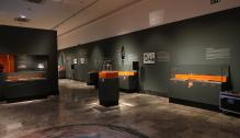 Inauguración de la exposición "Aratis, anatomía de un expolio"