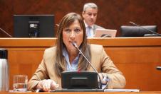 La consejera de Sanidad, Sira Repollés, durante su intervención
