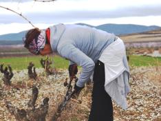 En 2018 se superarán los 1.000 empleos creados para jóvenes agricultores en el medio rural