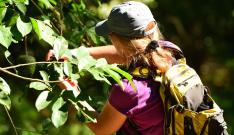 En Aragón son diez los campos de voluntariado en los que podrán inscribirse los jóvenes