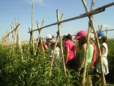 El Gobierno de Aragón organiza una nueva edición del campus infantil de Semana Santa de La Alfranca