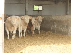 La economía aragonesa crece un 2,8% interanual entre abril y junio, por debajo de la media nacional (3,1%)