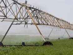 Las huertas de Fraga, Velilla y Torrente de Cinca pondrán en riego 1.528 hectáreas