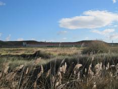 La herramienta MANEV de gestión sostenible de purines, ahora más fácil de usar 