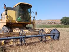 Es fundamental que la cosecha no se lleve a cabo en solitario, para que la detección de la ignición sea lo más temprana posible