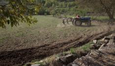 Estas ayudas sufragan parte del coste de los seguros agrarios de 2024