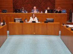 La gerente del Banco de Sangre ha comparecido hoy en la Comisión de Sanidad de las Cortes de Aragón