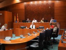 La DG de Familia, Infancia y Natalidad ha comparecido este martes en la comisión de las Cortes