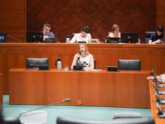 Este martes se ha desarrollado la comparecencia de la DG Igualdad de Oportunidades, María Victoria Alquézar