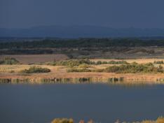 Humedal Singular de la Laguna de Sariñena