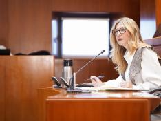 La vicepresidenta, Mar Vaquero, ha comparecido en las Cortes de Aragón