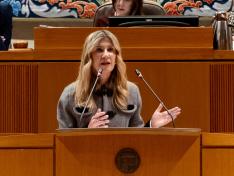 Mar Vaquero en su comparecencia en las Cortes de Aragón