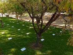 Imagen de evaluación de riego