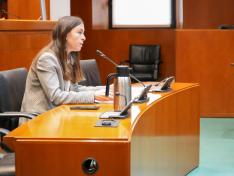 Este martes ha comparecido la directora-gerente del IAJ, Cristina Navarro, en la comisión de Bienestar Social y Familia de las Cortes de Aragón