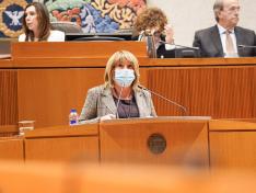 La consejera ha comparecido hoy en las Cortes a petición propia.