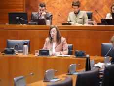 Este martes la Consejera ha comparecido nuevamente ante la comisión de Bienestar Social y Familia de las Cortes de Aragón