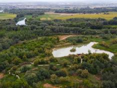 Galacho de La Alfranca, en la Reserva Natural Dirigida de los Sotos y Galachos del Ebro