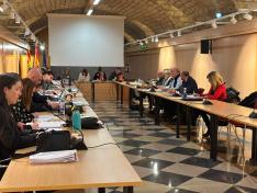 La reunión ha tenido lugar esta mañana en la Sala Hermanos Bayeu.