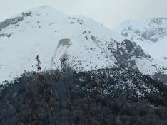 Imagen de un alud en el Pirineo aragonés