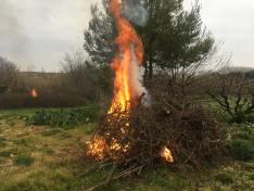 Imagen de archivo de una quema de residuos vegetales comunicada mediante Anexo I.
