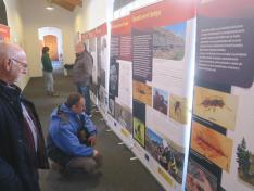 : La exposición “Dinosaurios del Carbón” se exhibe en el área de acceso al Aula de Paleontología.