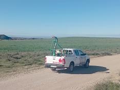 Aragón actúa contra los primeros focos de langosta en Monegrillo