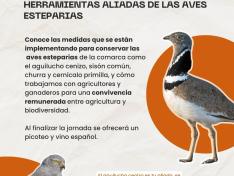 Cartel de la jornada.