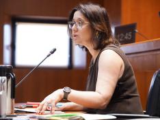 La consejera de Economía, Competitividad y Empleo ha comparecido en las Cortes de Aragón