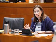 Marisa Feijóo, directora general de Universidades, ha comparecido este martes en la comisión
