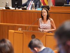 La consejera de Educación, Ciencia y Universidad, durante una interpelación en el Pleno