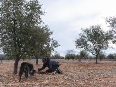 Recolectora de trufa junto a su perro en Sarrión