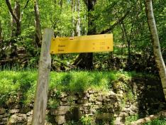 Con altas temperaturas, como las de estos ideas, hay que planificar las excursiones y buscar rutas donde domine la sombra