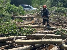 Trabajos de desbrozamiento del terreno donde se levantará la depuradora de Cerler