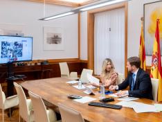 La reunión se ha celebrado de manera telemática
