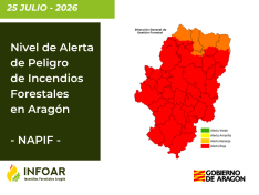 NAPIF 25 de julio