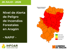 NAPIF 26 de julio