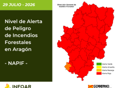 NAPIF 29 julio