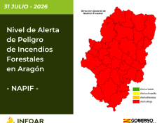 NAPIF 31 julio
